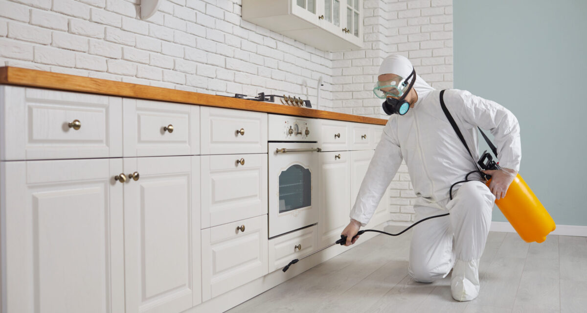 Ev İlaçlaması Ne Kadar Sürede Etki Gösterir?