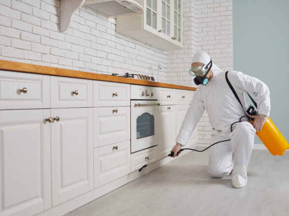 Ev İlaçlaması Ne Kadar Sürede Etki Gösterir?